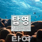 탑영으로 끝나는 단어는? 1개