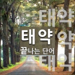 태약으로 끝나는 단어는? 3개