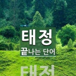 태정으로 끝나는 단어는? 1개