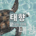 태향 끝 단어