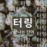 터링으로 끝나는 단어는? 88개