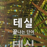 테실로 끝나는 단어는? 1개