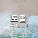 토골로 끝나는 단어는? 1개