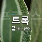 트록 끝 단어