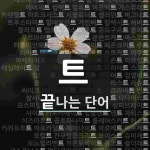트 시작 단어