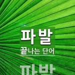 파발로 끝나는 단어는? 1개