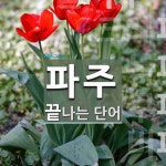 파주로 끝나는 단어는? 7개