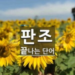 판조로 끝나는 단어는? 1개