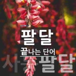 팔달로 끝나는 단어는? 2개