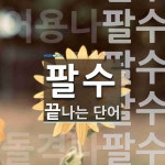 팔수로 끝나는 단어는? 6개
