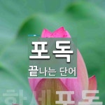 포독 끝 단어