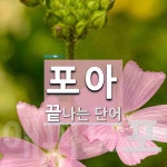 포아로 끝나는 단어는? 2개