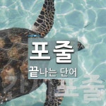 포줄로 끝나는 단어는? 2개