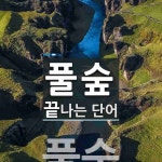 풀숲으로 끝나는 단어는? 1개