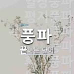 풍파로 끝나는 단어는? 9개