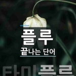 플루로 끝나는 단어는? 3개