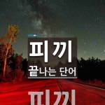 피끼로 끝나는 단어는? 1개