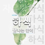 하식으로 끝나는 단어는? 11개