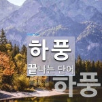 하풍으로 끝나는 단어는? 2개