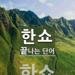 한쇼로 끝나는 단어는? 1개