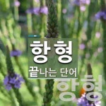 항형 끝 단어