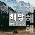 해망으로 끝나는 단어는? 3개