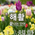 해활로 끝나는 단어는? 1개