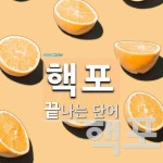 핵포로 끝나는 단어는? 2개