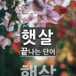햇살로 끝나는 단어는? 1개