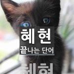 혜현으로 끝나는 단어는? 1개