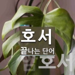 호서로 끝나는 단어는? 3개