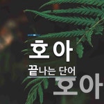 호아로 끝나는 단어는? 2개