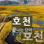 호천으로 끝나는 단어는? 3개