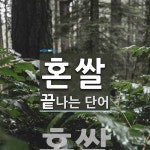 혼쌀로 끝나는 단어는? 1개