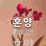 혼양으로 끝나는 단어는? 1개