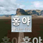 홍야로 끝나는 단어는? 1개