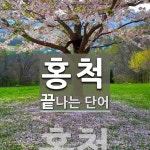 홍척으로 끝나는 단어는? 1개