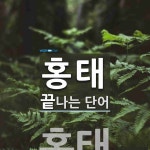 주식회사 홍태푸드 | 홍태로 끝나는 단어는? 1개