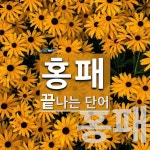 홍패로 끝나는 단어는? 4개