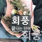 회풍으로 끝나는 단어는? 2개