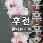 후전 끝 단어