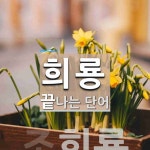 희룡으로 끝나는 단어는? 1개