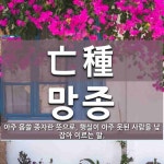 亡種(망종)의 뜻과 관련 한자어
