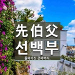 先伯父(선백부)의 뜻과 관련 한자어