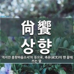 尙饗(상향)의 뜻과 관련 한자어