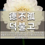 德不孤(덕불고)의 뜻과 관련 한자어