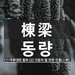 棟梁(동량)의 뜻과 관련 한자어