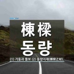 棟樑(동량)의 뜻과 관련 한자어