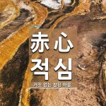 赤心(적심)의 뜻과 관련 한자어