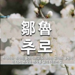 鄒魯(추로)의 뜻과 관련 한자어